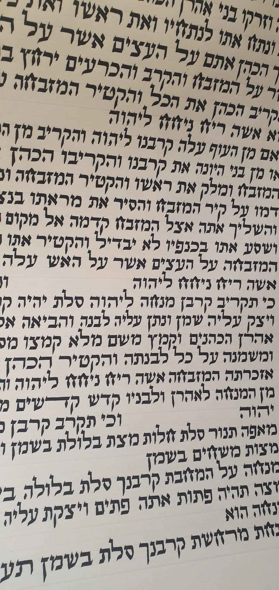 Sefer Torah 14