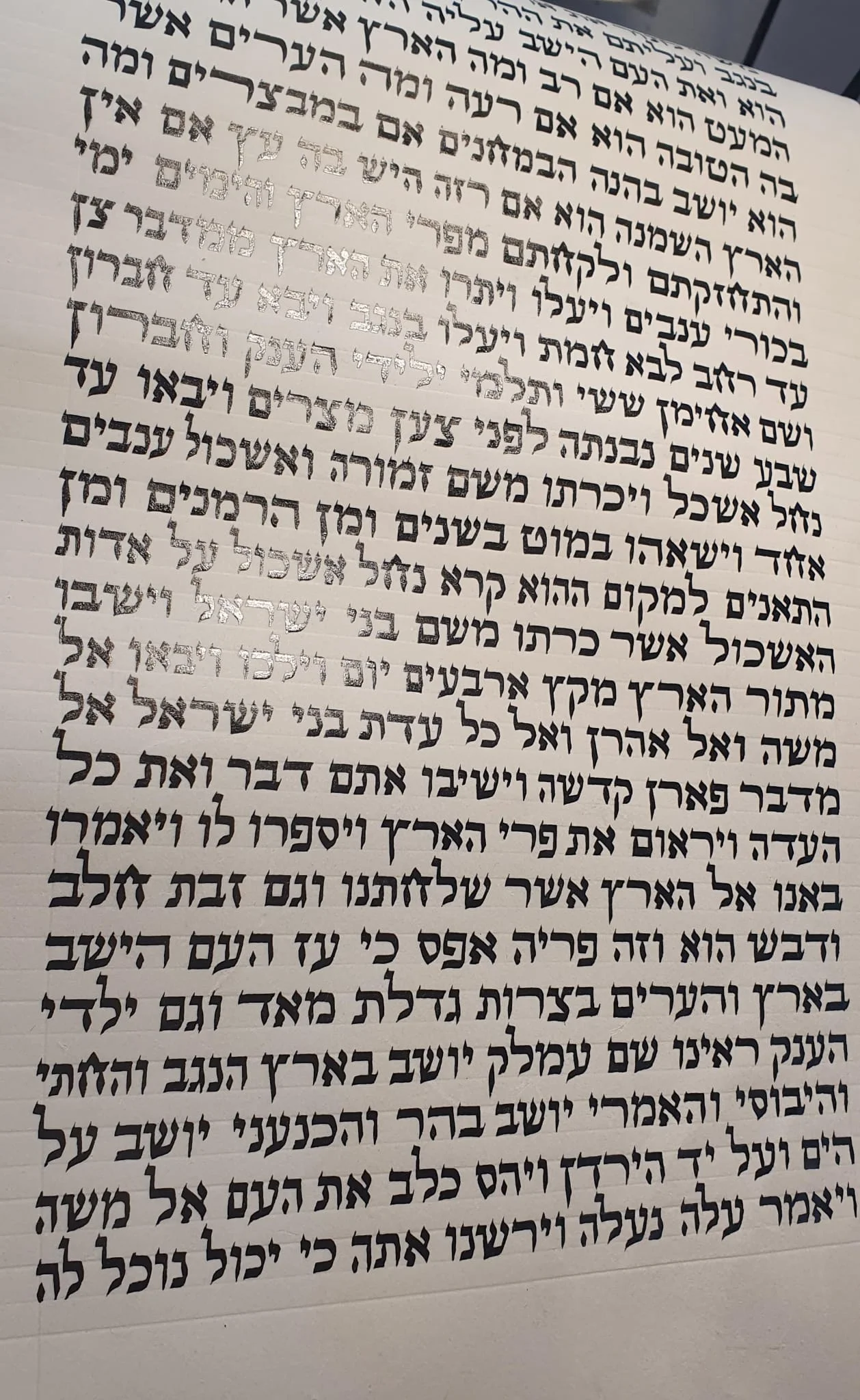Sefer Torah 15