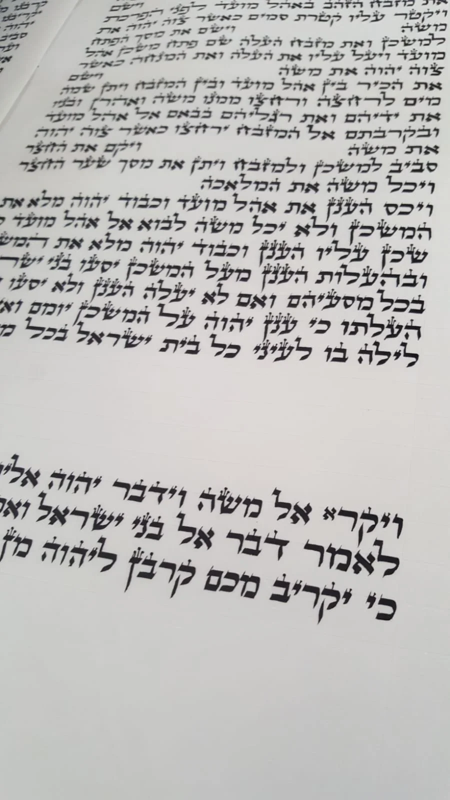 Sefer Torah 17