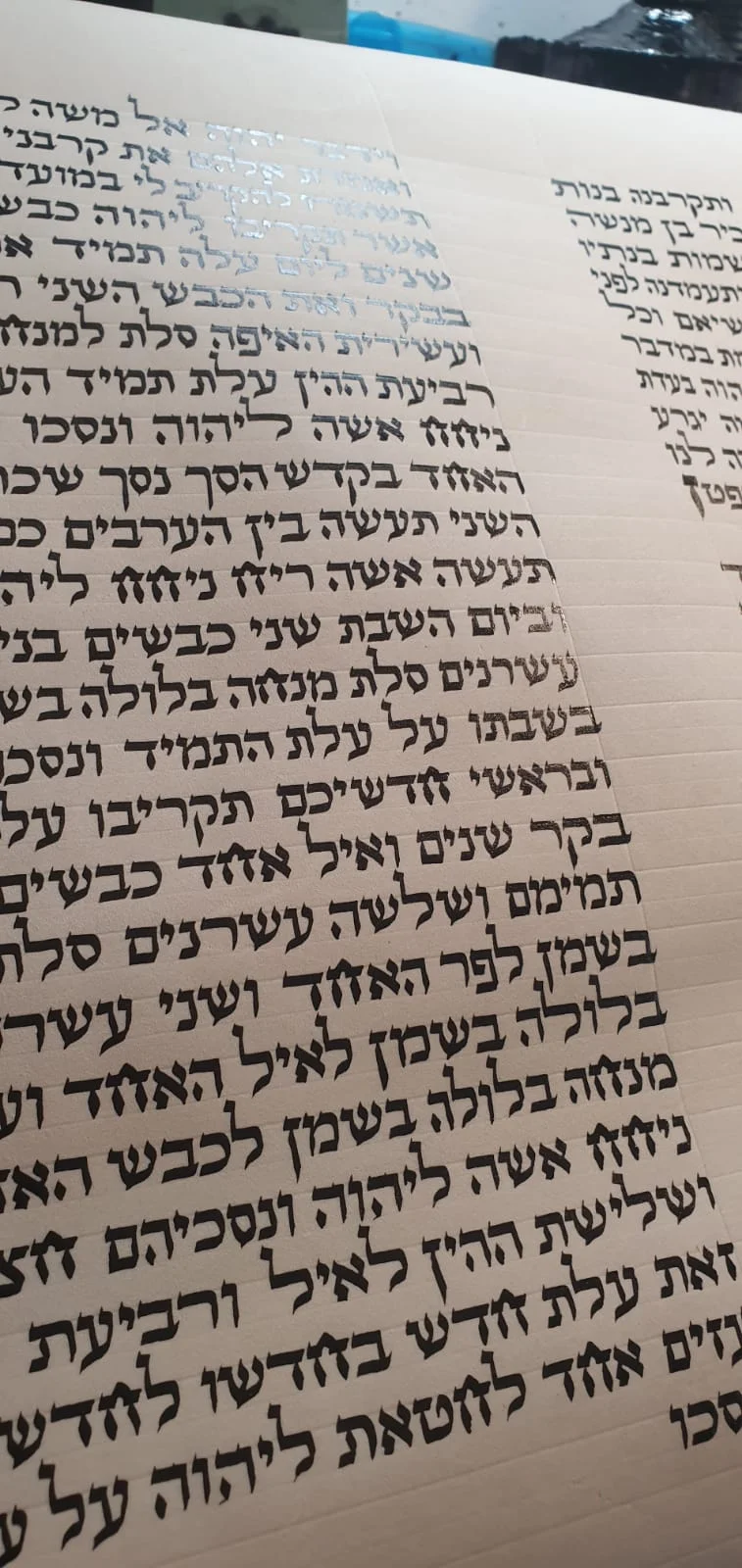 Sefer Torah 12